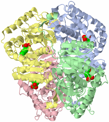 Image Asym./Biol. Unit