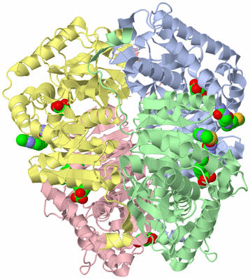 Image Asym./Biol. Unit