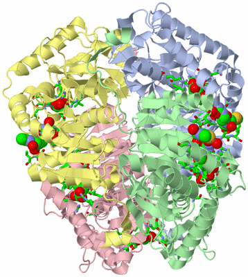 Image Asym./Biol. Unit - sites