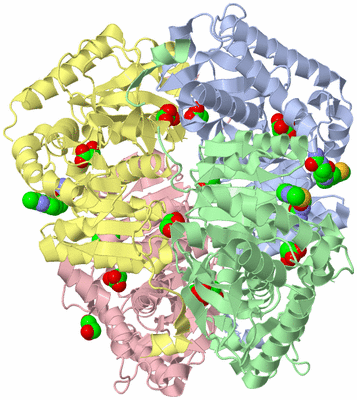 Image Asym./Biol. Unit