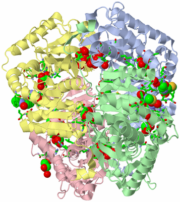 Image Asym./Biol. Unit - sites