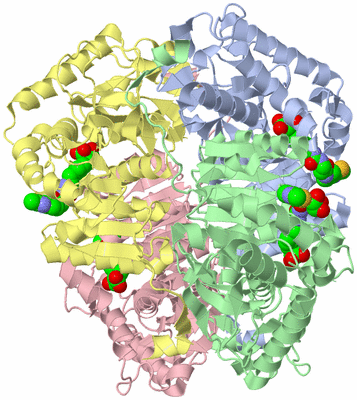 Image Asym./Biol. Unit