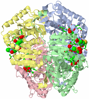 Image Asym./Biol. Unit - sites