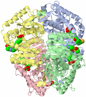 Image Asym./Biol. Unit