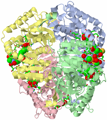 Image Asym./Biol. Unit - sites