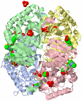 Image Asym./Biol. Unit