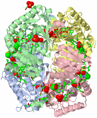 Image Asym./Biol. Unit - sites