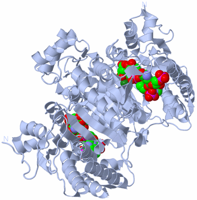 Image Biological Unit 1