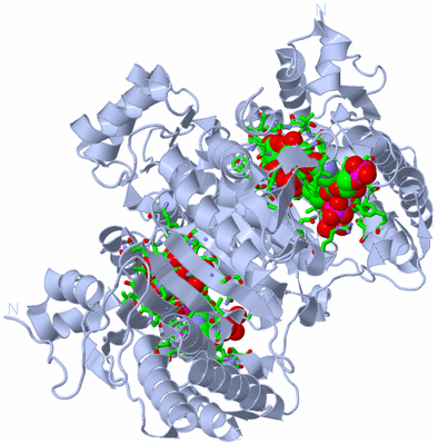 Image Biol. Unit 1 - sites