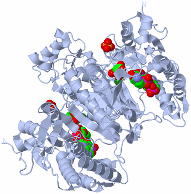 Image Biological Unit 1