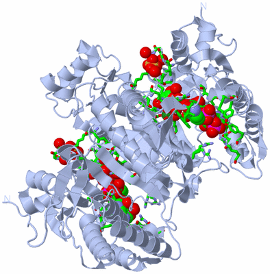 Image Biol. Unit 1 - sites