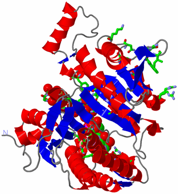 Image Asym. Unit - sites