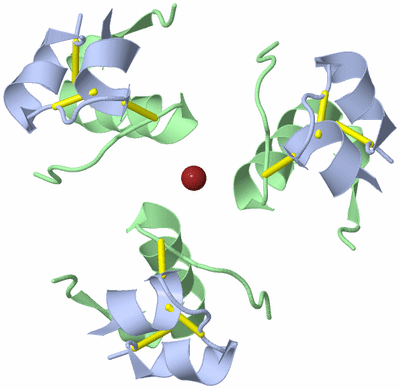 Image Biological Unit 1