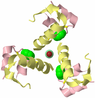 Image Biological Unit 2