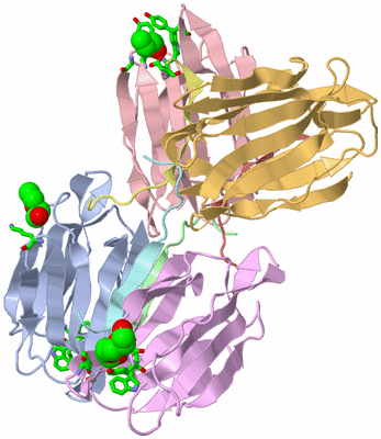 Image Biol. Unit 1 - sites