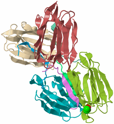 Image Biological Unit 2