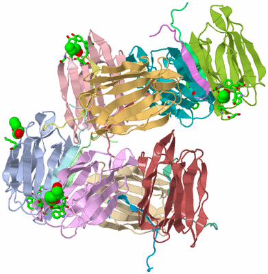 Image Asym. Unit - sites