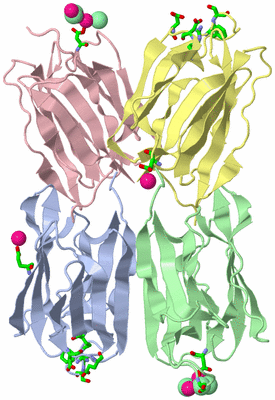 Image Asym./Biol. Unit - sites