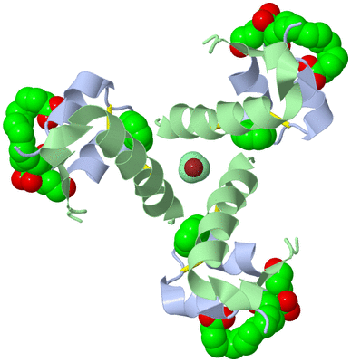 Image Biological Unit 1