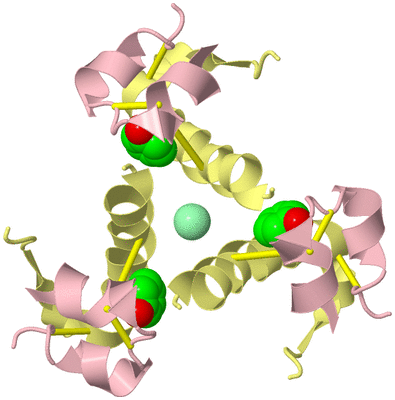 Image Biological Unit 2