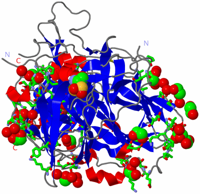 Image Asym./Biol. Unit - sites