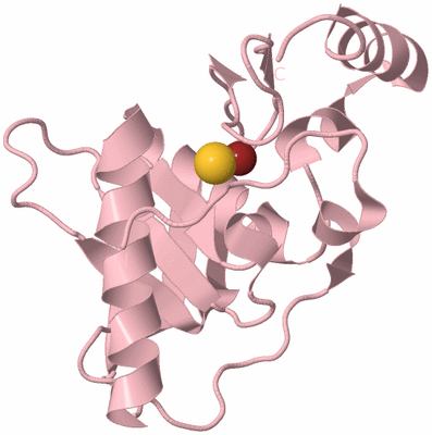 Image Biological Unit 3