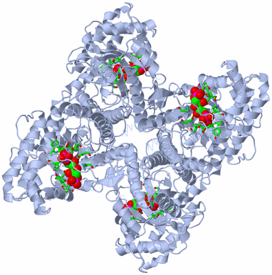 Image Biol. Unit 1 - sites