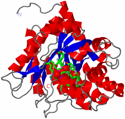 Image Asym. Unit - sites