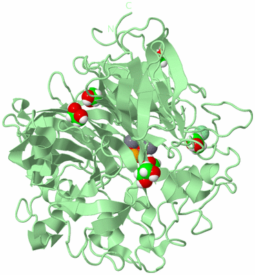 Image Biological Unit 2