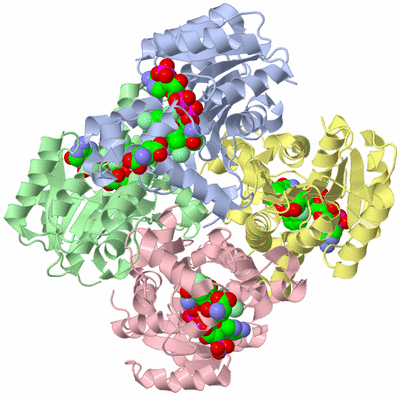 Image Biological Unit 1