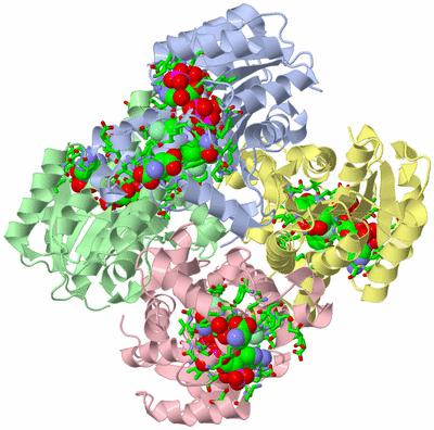 Image Biol. Unit 1 - sites