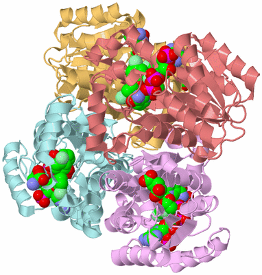 Image Biological Unit 2