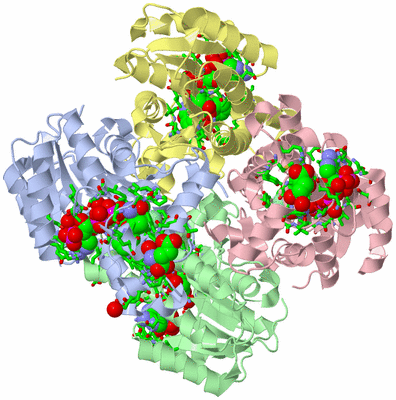 Image Biol. Unit 1 - sites