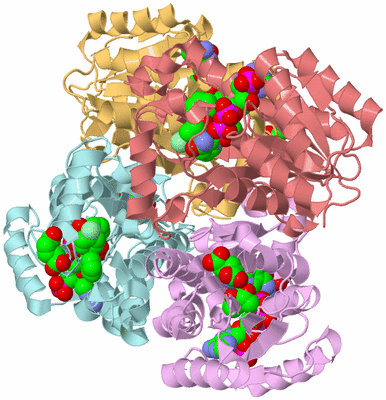 Image Biological Unit 2