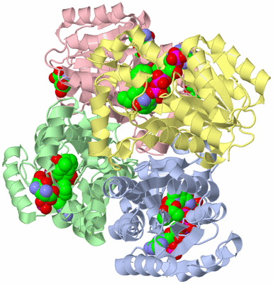 Image Biological Unit 1