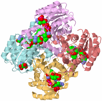 Image Biological Unit 2