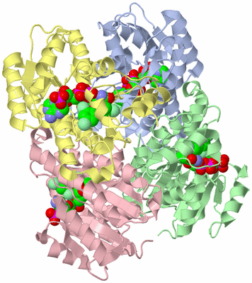 Image Asym./Biol. Unit