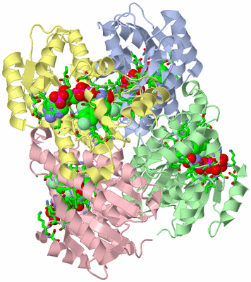 Image Asym./Biol. Unit - sites