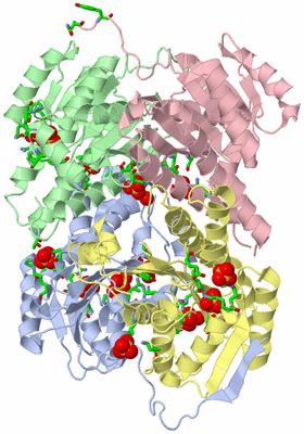 Image Asym./Biol. Unit - sites