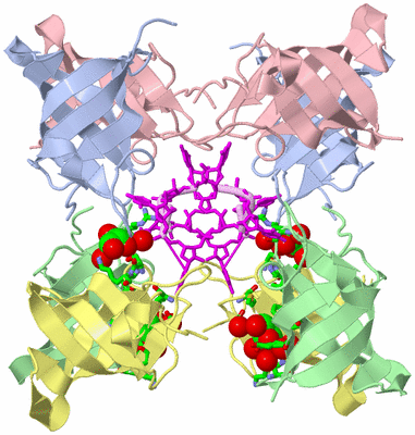 Image Biol. Unit 1 - sites