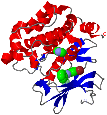 Image Asym./Biol. Unit