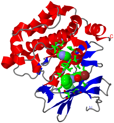 Image Asym./Biol. Unit - sites