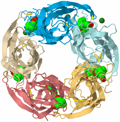 Image Biological Unit 1