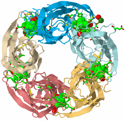 Image Biol. Unit 1 - sites