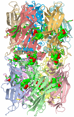 Image Asym. Unit - sites