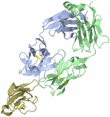 Image Biological Unit 1