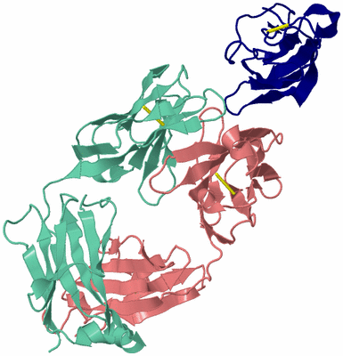 Image Biological Unit 4