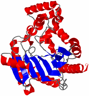 Image Asym./Biol. Unit