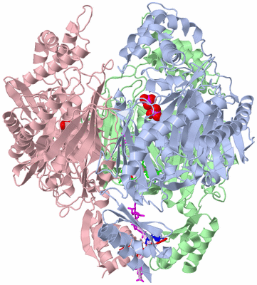 Image Asym./Biol. Unit