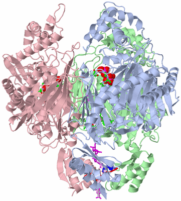 Image Asym./Biol. Unit - sites